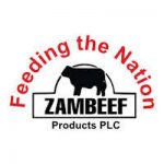 zambeef application letter